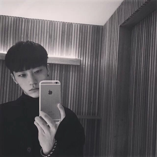 芸豆